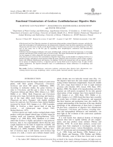 Functional Utrastructure of Genlisea (Lentibulariaceae) Digestive