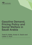 Gasoline Demand, Pricing Policy and Social Welfare in