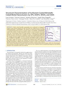 Structural Characterization of Surfactant