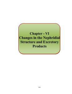 Changes in the Nephridial Structure and Excretory