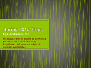 Spring 2014 Trees
