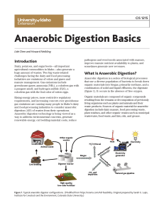 Anaerobic Digestion Basics