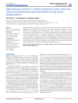 High baseline activity in inferior temporal cortex