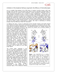 Inhibition of the Gas6/Axl Pathway Augments the Efficacy of