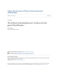 The Robust Australopithecines: Evidence for the genus Paranthropus