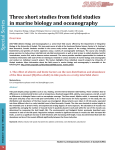Three short studies from field studies in marine biology and