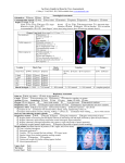 An Easy Guide To Head To Toe Assessment