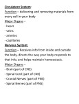 Circulatory System: Function – delivering and removing materials