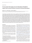 Transcranial Alternating Current Stimulation Modulates Large