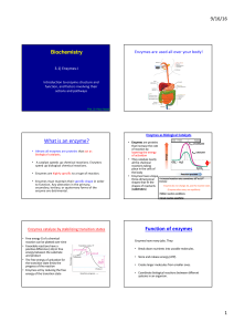 What is an enzyme? Function of enzymes