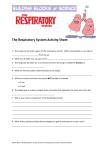 The Respiratory System Activity Sheet