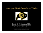 Neuropsychiatric Sequelae of Stroke 113010