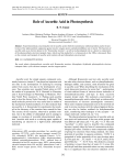 Role of Ascorbic Acid in Photosynthesis