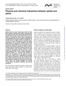 Physical and chemical interactions between aphids and plants