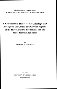 A Comparative Study of the Osteology and Myology of