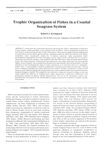 Trophic Organization of Fishes in a Coastal