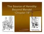The Source of Heredity “Chapter 21”