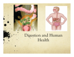 Chapter 6 Digestion and Human Health