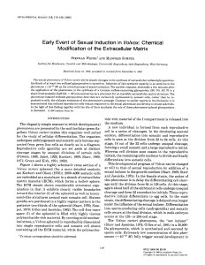 Early Event of Sexual Induction in Volvox: Chemical Modification of