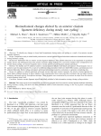 Biomechanical changes elicited by an anterior cruciate ligament