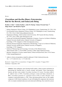 Clostridium and Bacillus Binary Enterotoxins