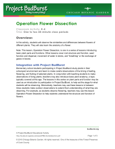 Operation Flower Dissection