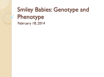Smiley Babies: Genotype and Phenotype