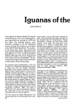 Iguanas of the South Pacific