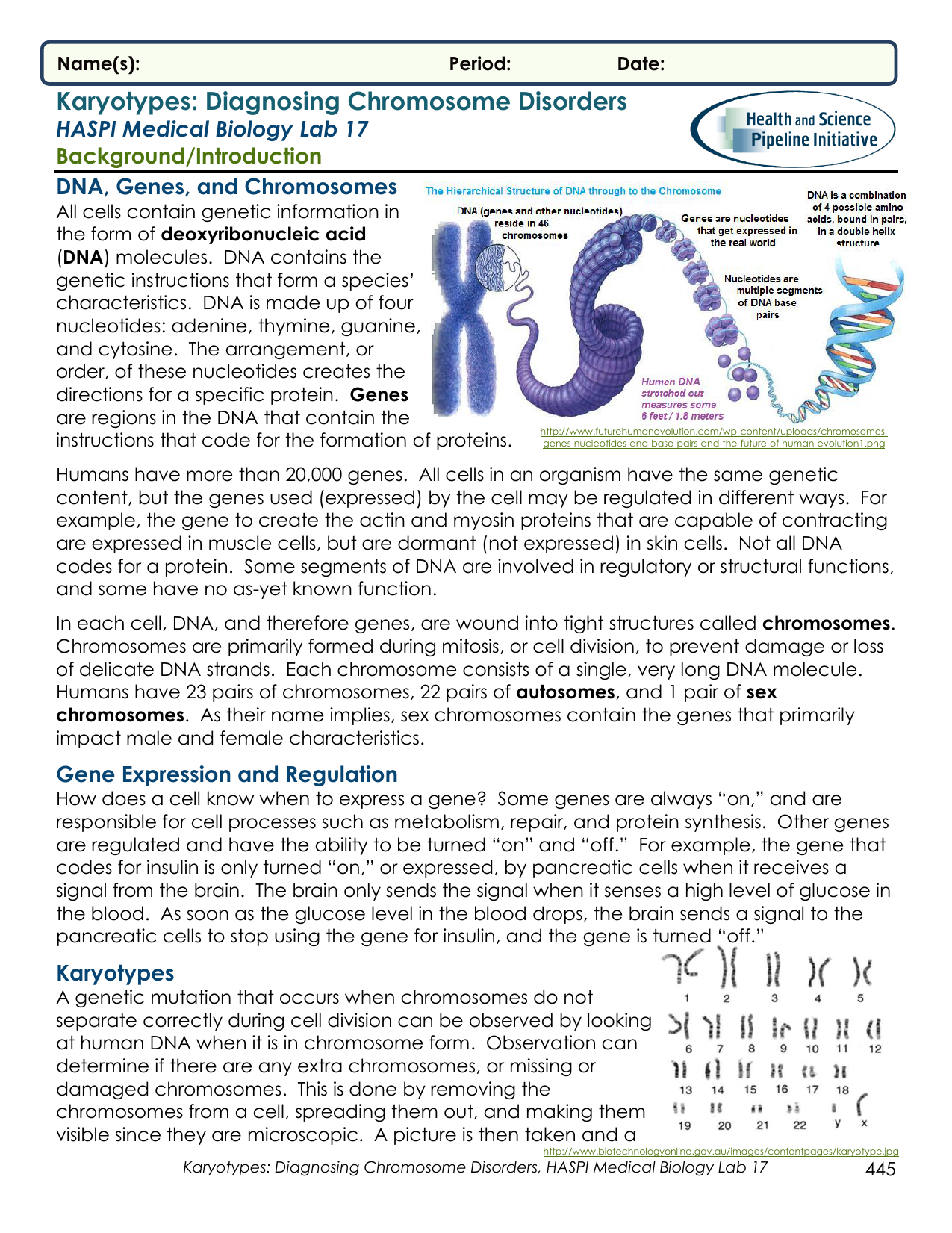 Biology Karyotype Worksheet Answers Key - Nidecmege Intended For Biology Karyotype Worksheet Answers Key