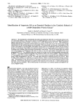 Identification of Aspartate- 184 as an Essential Residue in the