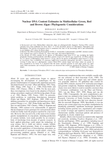 Nuclear DNA Content Estimates in Multicellular