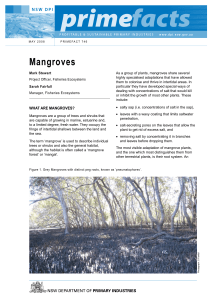 Mangroves (Primefact 746)