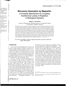 Microwave Absorption by Magnetite: A possible