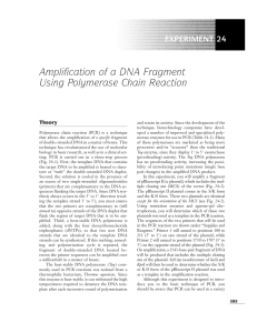 Amplification of a DNA Fragment Using Polymerase