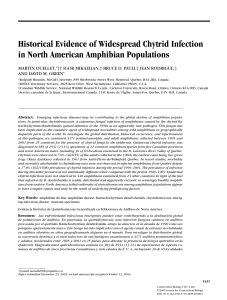 Historical Evidence of Widespread Chytrid - Amphibia