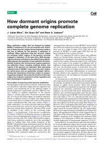 How dormant origins promote complete genome replication