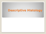Descriptive Histology