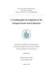 Crystallographic Investigations of the Stringent Factor from Eubacteria