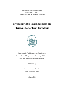 Crystallographic Investigations of the Stringent Factor from Eubacteria
