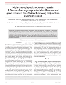 High-throughput knockout screen in Schizosaccharomyces pombe