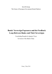 Banks` Sovereign Exposures and the Feedback Loop