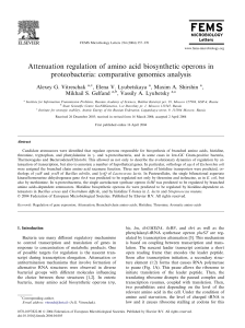 Attenuation regulation of amino acid biosynthetic operons in