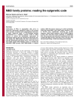 MBD family proteins: reading the epigenetic code