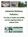 Methane pollution - National Wildlife Federation