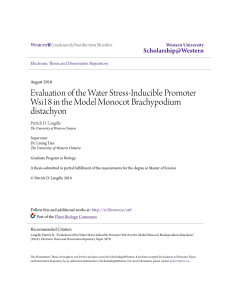 Evaluation of the Water Stress-Inducible