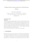 Multiple Kernel Learning Approach For Medical Image