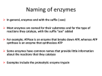 Lecture 7-enzymes 3