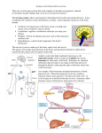 Animal Systems- Regulation There are several organ systems that