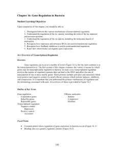 Chapter 16: Gene Regulation in Bacteria