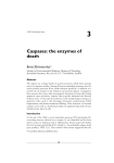 Caspases - Essays in Biochemistry